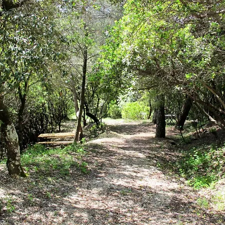 Locazione Turistica Suon Di Bosco - Btt130 *