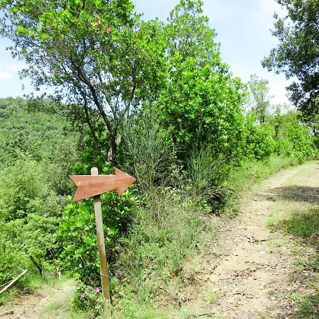 Locazione Turistica Suon Di Bosco - Btt130 *
